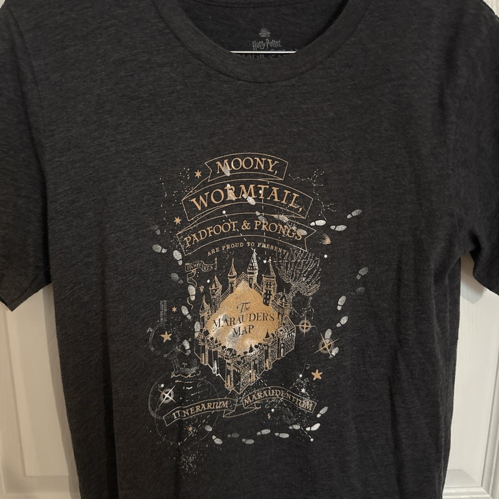 Harry Potter Moony Wormtail Graphic T-Shirt with Gold Design